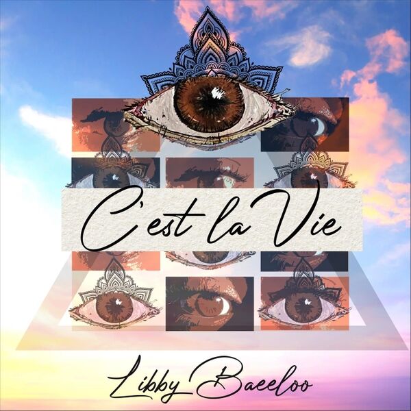 Cover art for C'est la Vie